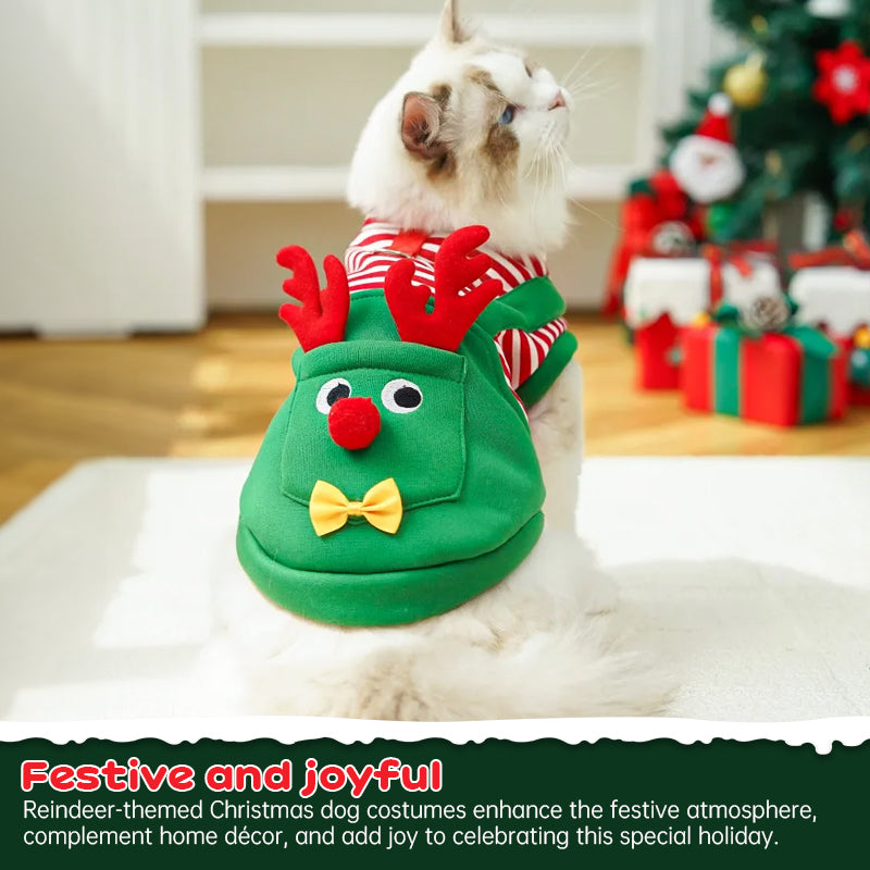 Festive pet costume: green reindeer outfit with red antlers, red nose and yellow bow on a fluffy cat