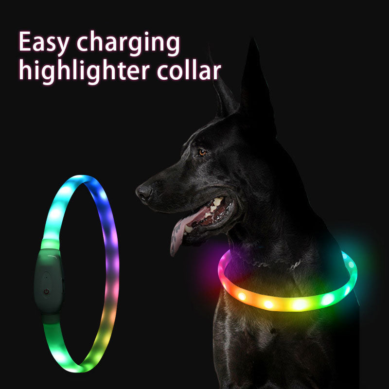 Two LED luminous dog collars with USB charging and rainbow glow; worn on a black dog and shown separately.