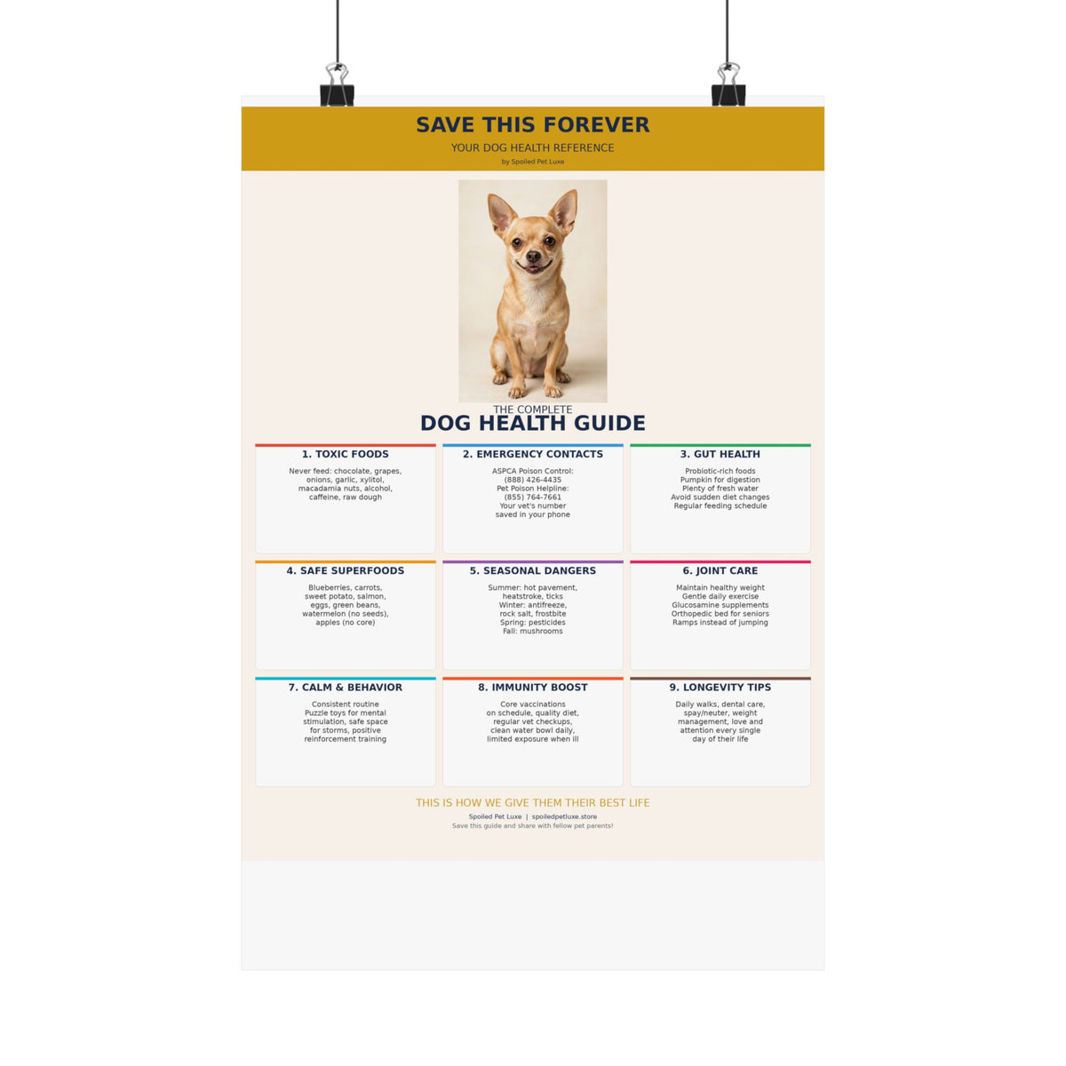 Dog Health Reference Guide Poster - Chihuahua Edition