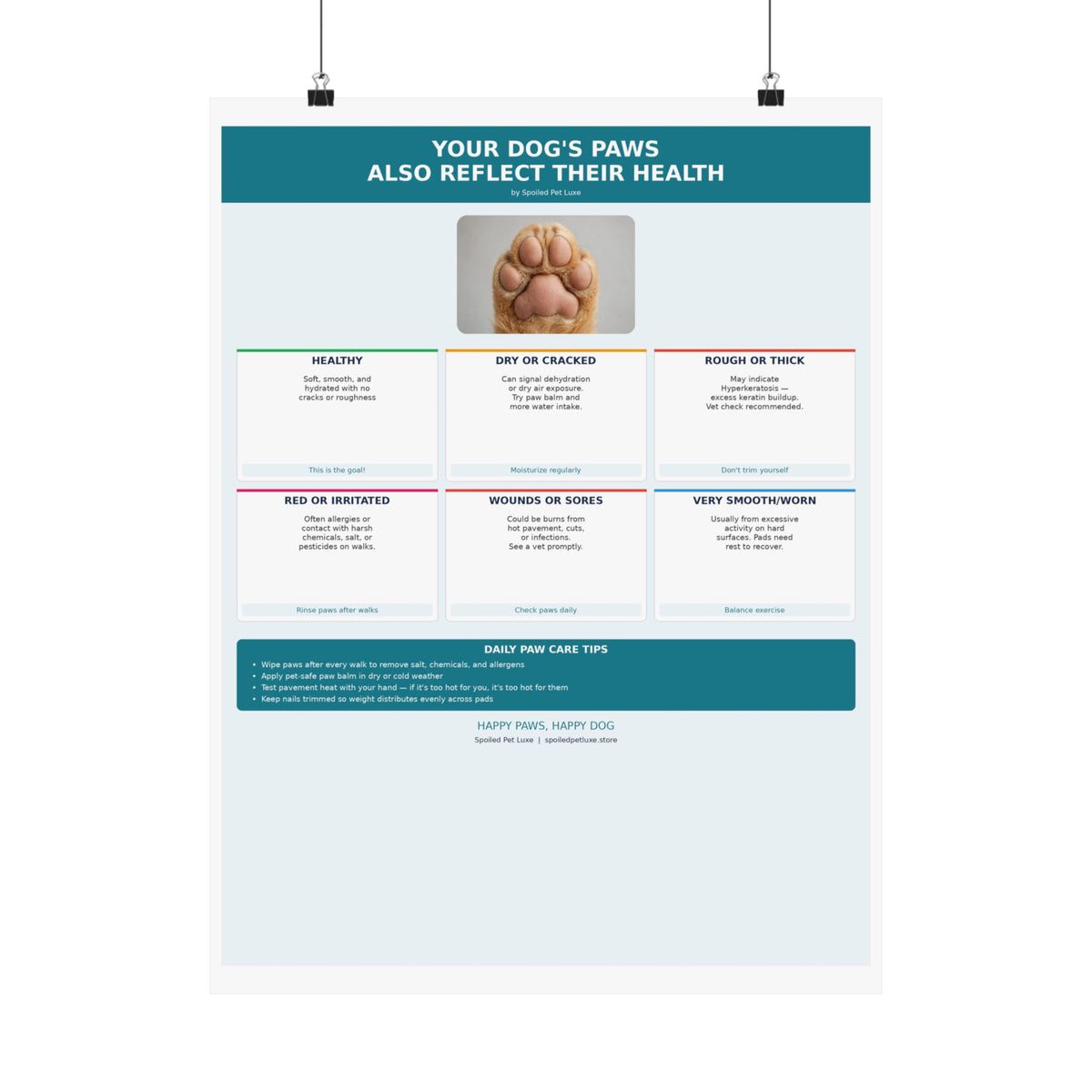 Dog Paw Health Guide Poster