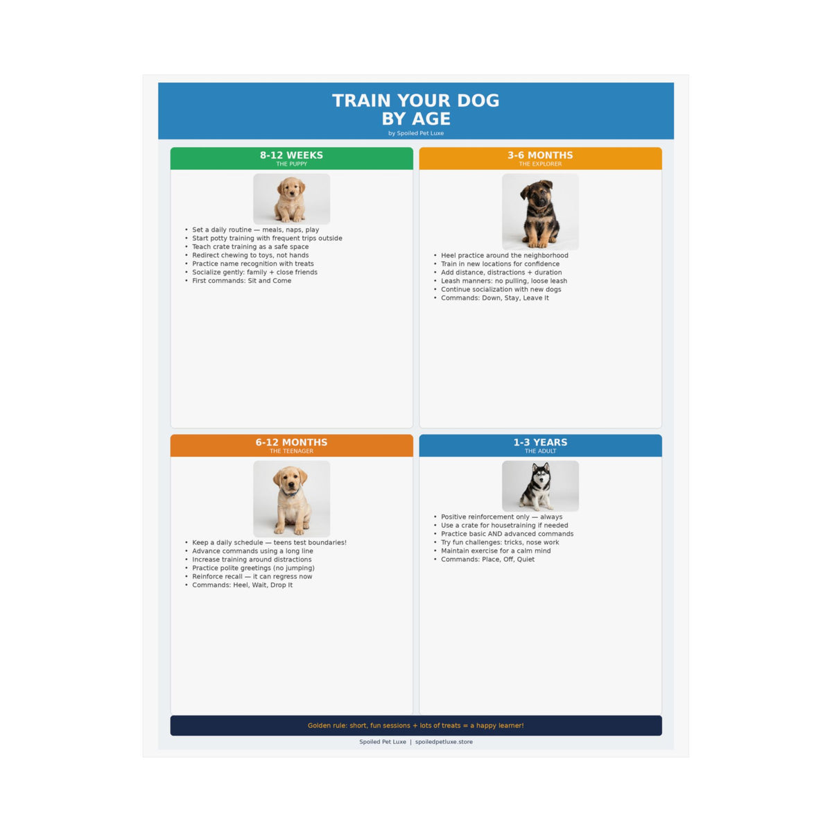 Train Your Dog By Age Poster