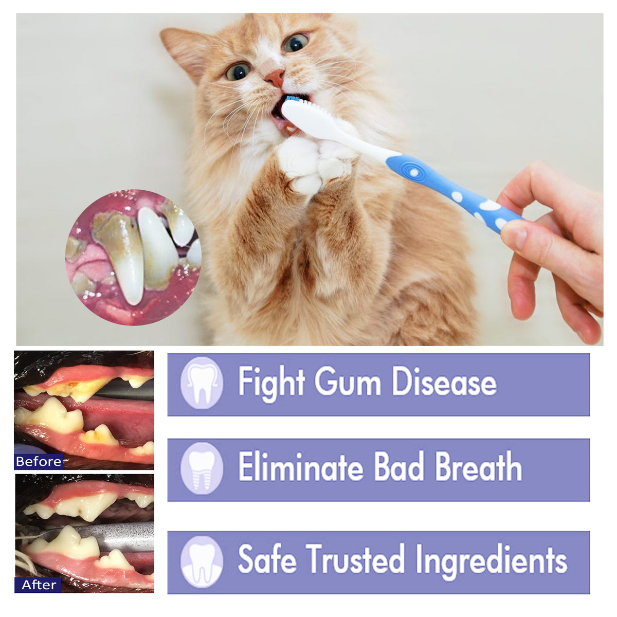 Pet Dental Toothpaste by eprolo