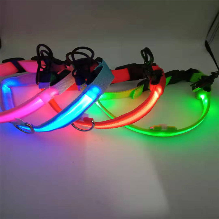 LED pet collars glow in pink, blue, red and green; 4 rechargeable USB collars by eprolo