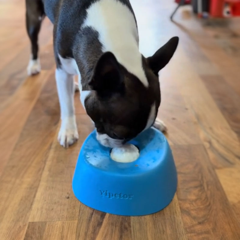 Anti-Choke Slow Feeder Dog Bowl & Lick Mat, blue, non-slip, 3/4 cup capacity for treats, broth, yogurt, eprolo