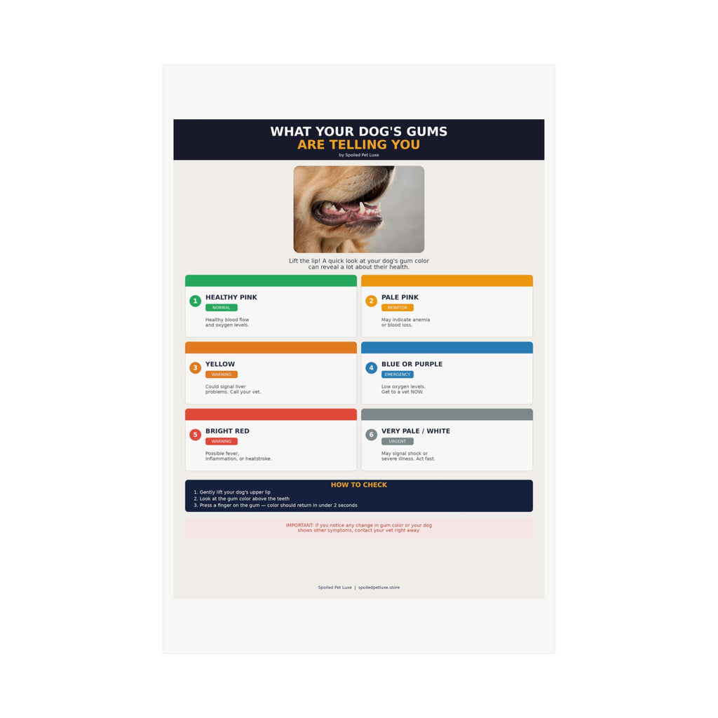 Dog Gum Health Guide Poster