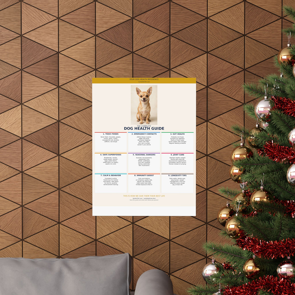 Dog Health Reference Guide Poster - Chihuahua Edition