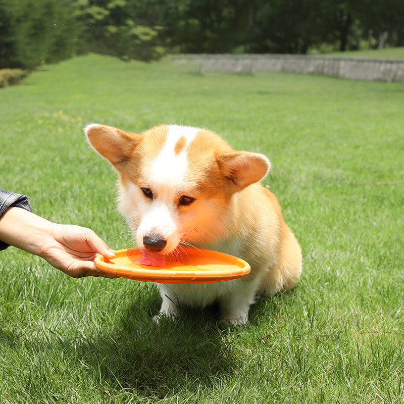 Dog Frisbee by eprolo