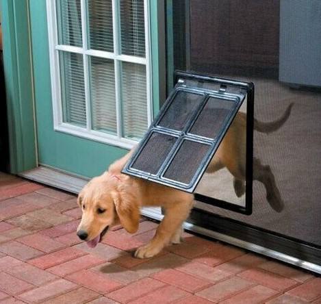 Pet Screen Door by eprolo
