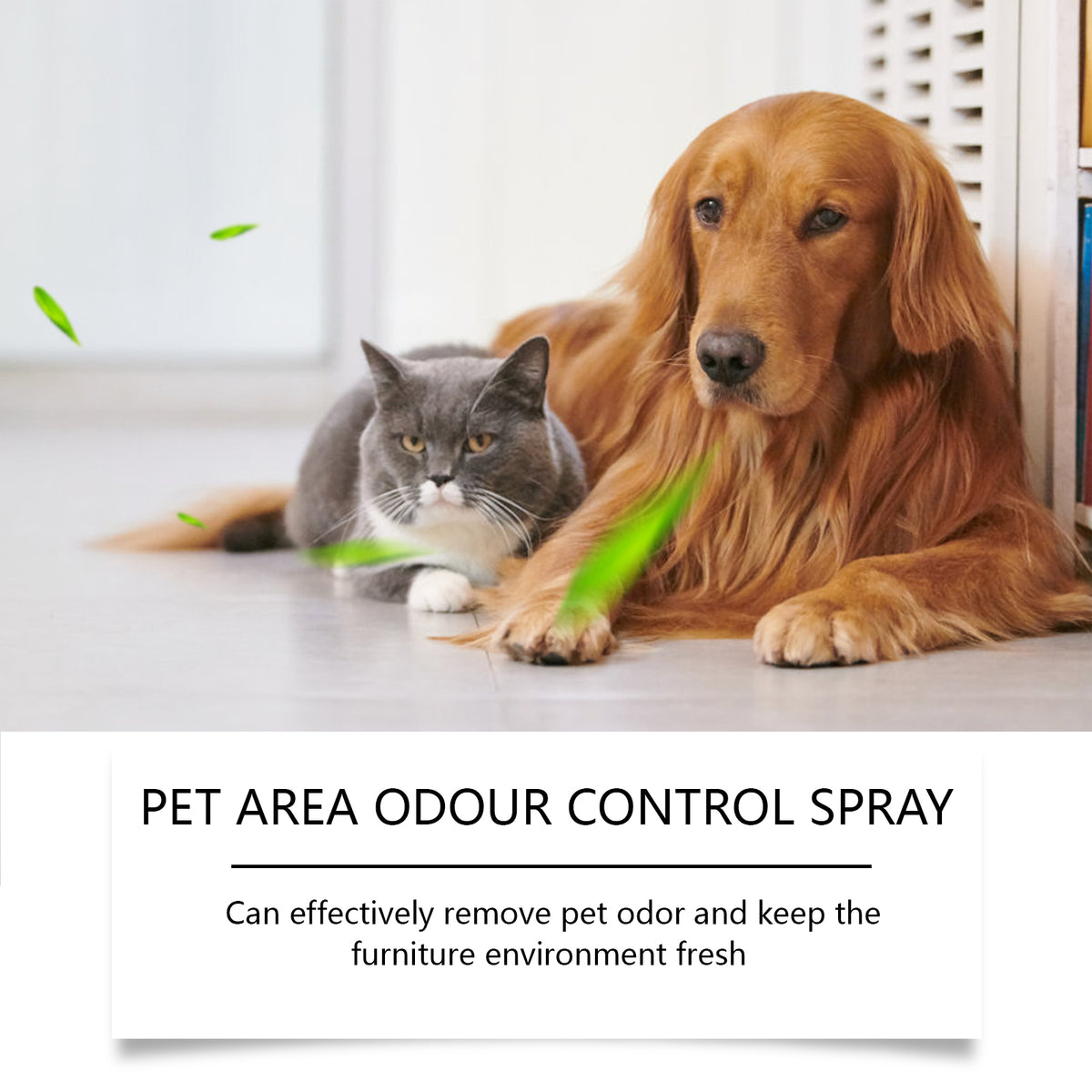 Pet Odor Eliminator Spray by eprolo