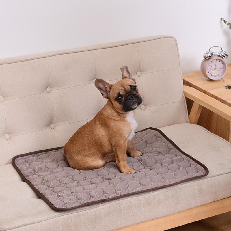 Dog cooling mat on beige sofa; gray quilted pad with brown edge for small to large dogs.