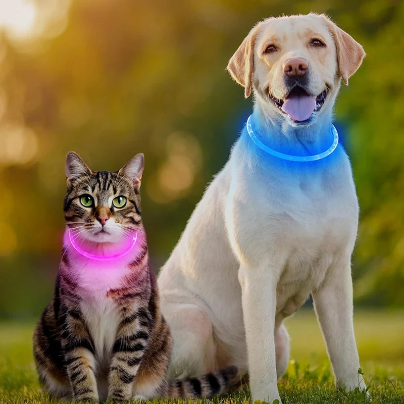3-Mode LED Dog Collar, USB-rechargeable, glowing blue on the dog and pink on the cat