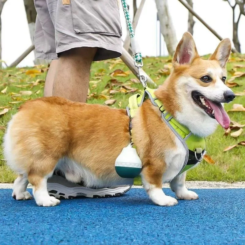 Portable dog water dispenser with bowl, tear-drop design in teal and white, attached to a lime-green harness on a corgi.