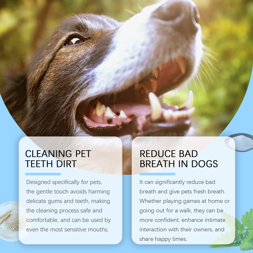 Pet Toothbrush by eprolo