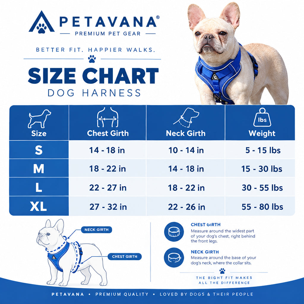 Pet Leash Reflective Breathable Dog Harness Vest-Style Pet Harness