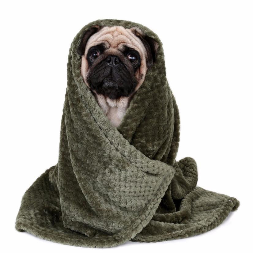 Warm Dog Blanket