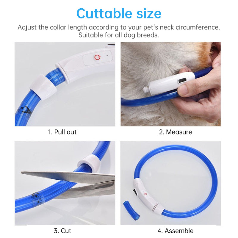 3-Mode LED Dog Collar, blue USB-rechargeable, detachable glow safety necklace for night walks