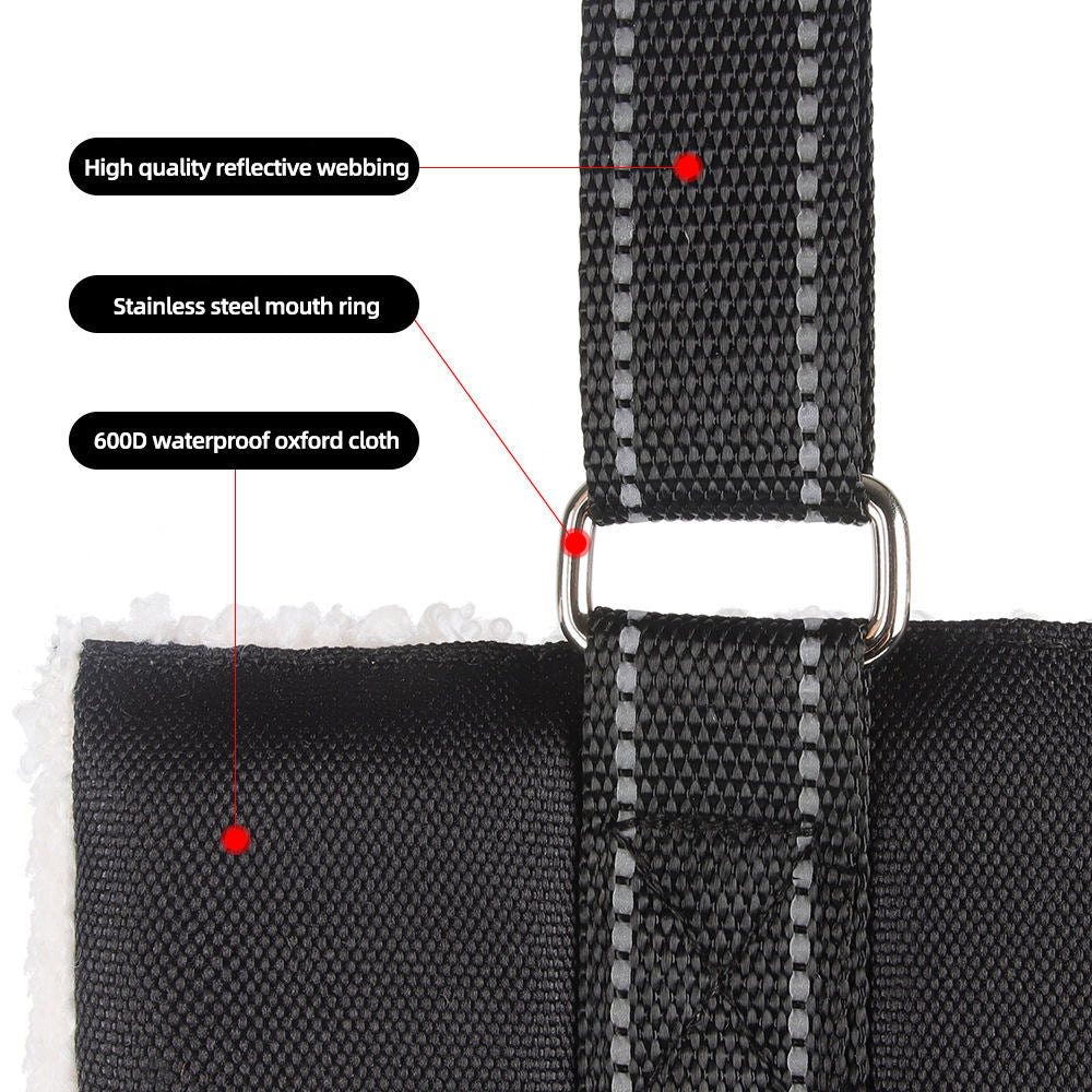 Adjustable dog leash with assistance strap for supported walking