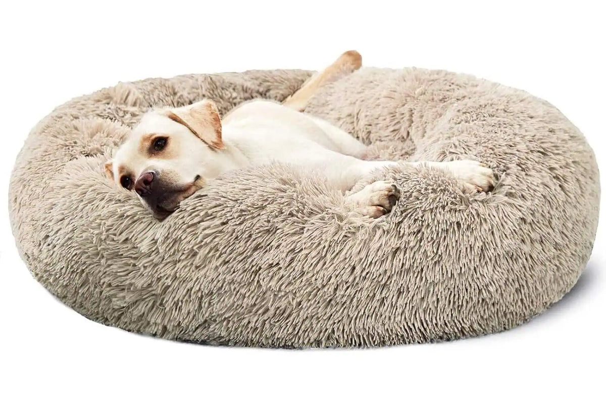 Calming Donut Cuddler Dog Bed by Spocket/EPROLO with plush raised rim for anxiety relief in beige