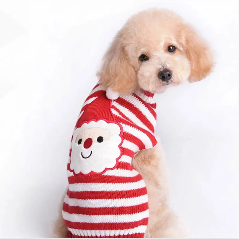 Striped Christmas Dog Sweater