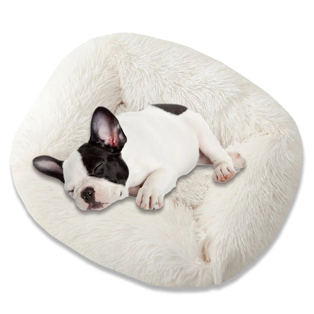 Square dog bed with long plush white fabric; 1 dog resting on ultra-soft winter sleeping mat for dogs and cats