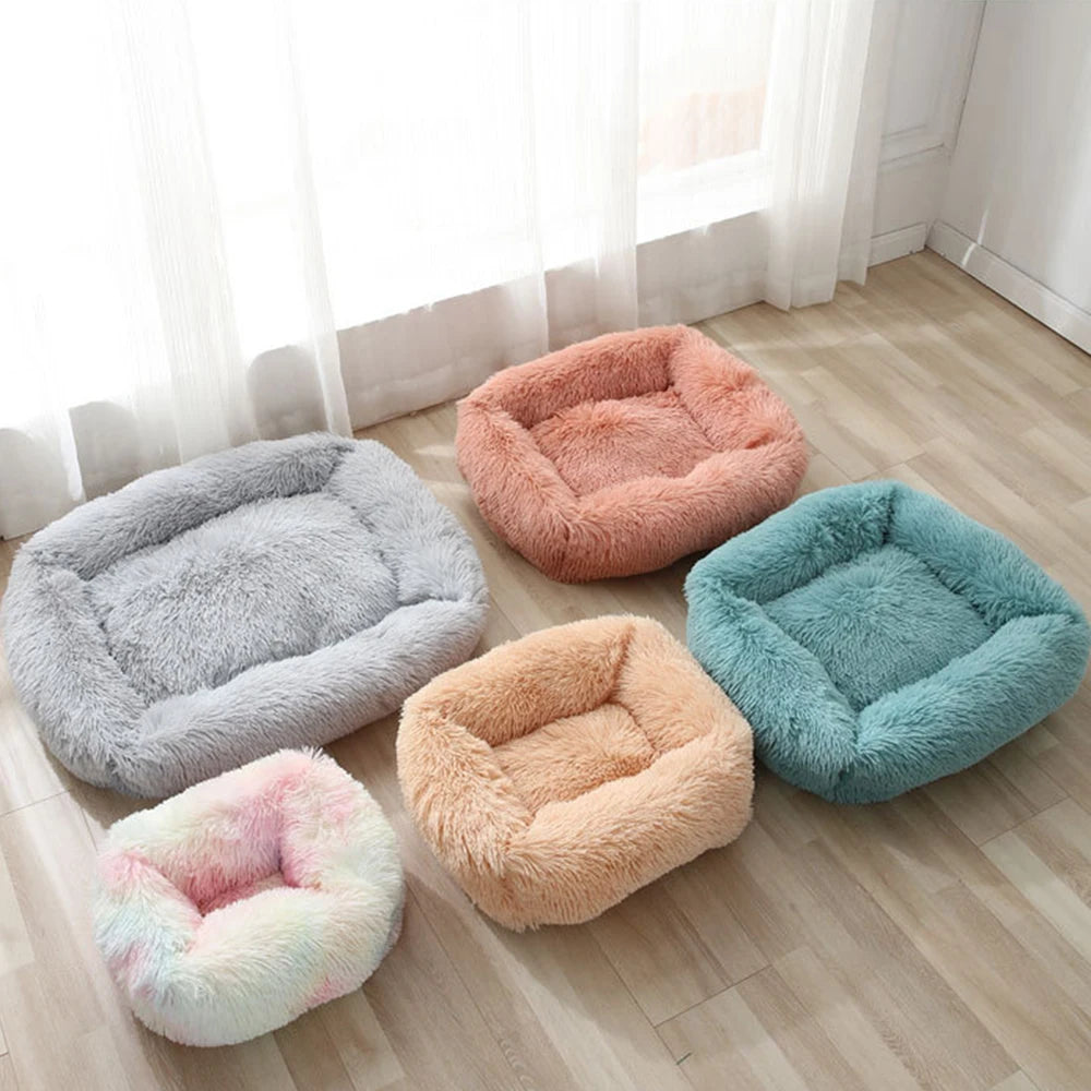 Set of five square dog beds in gray, peach, coral, teal and pastel rainbow long plush