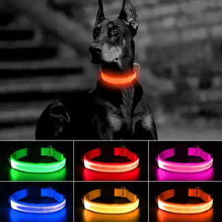 USB Rechargeable LED Dog Collar by Spocket/EPROLO; six color options, glow for safe night walks, weather resistant.