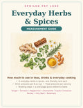 Everyday Herbs & Spices Measurement Guide cover — watercolor herbs and spices