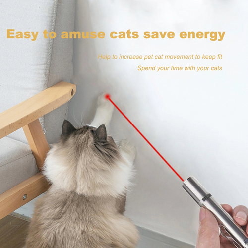 Pet Training Exercise Tool LED Pointer by Lilac Milo, silver metal cat toy