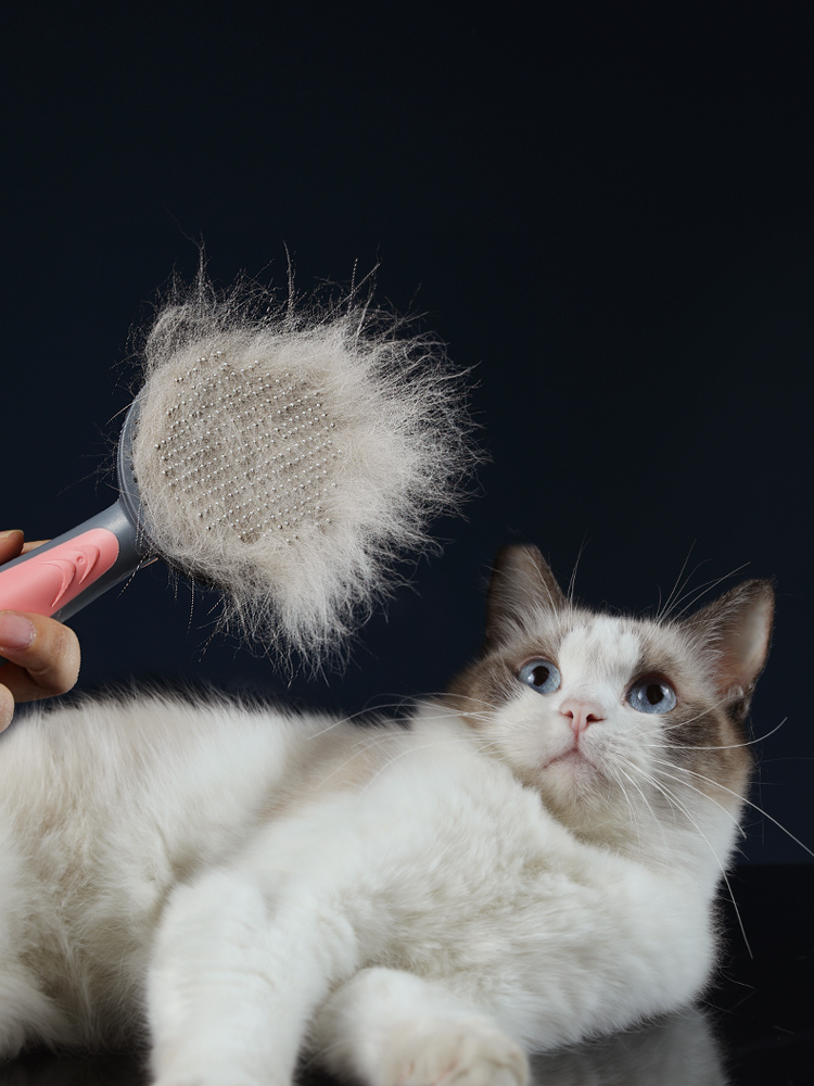 Cat grooming brush with pink handle and fluffy bristles beside a relaxed cat