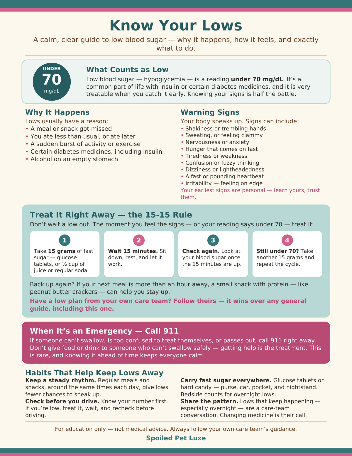 Know Your Lows Printable Poster - Low Blood Sugar Guide with Causes, Warning Signs, the 15-15 Rule & Emergency Box, Instant Download
