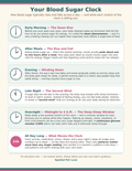 Your Blood Sugar Clock Printable Poster - 24-Hour Blood Sugar Guide with Dawn Phenomenon, Meal Peaks, the Second Wind & Overnight Lows, Instant Download