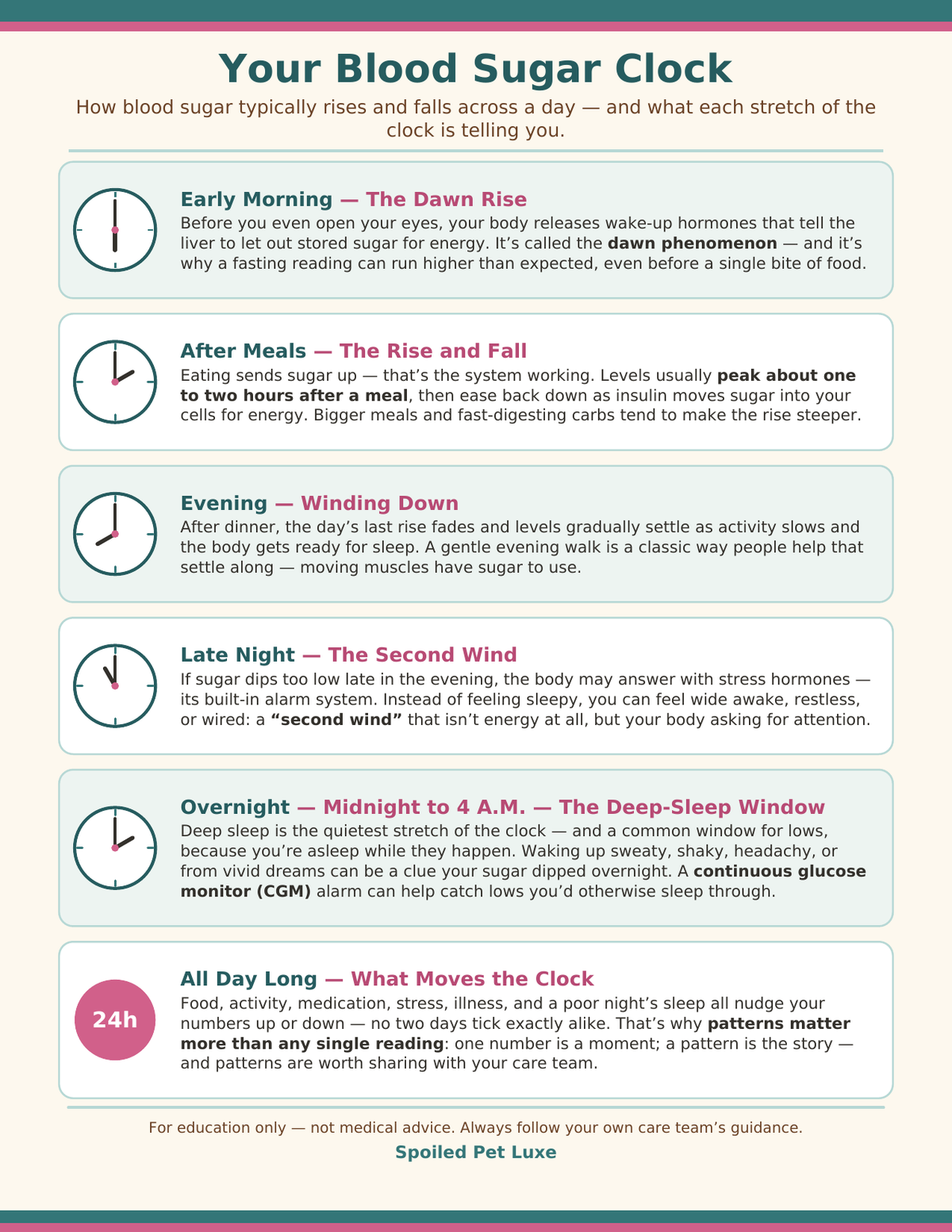 Your Blood Sugar Clock Printable Poster - 24-Hour Blood Sugar Guide with Dawn Phenomenon, Meal Peaks, the Second Wind & Overnight Lows, Instant Download
