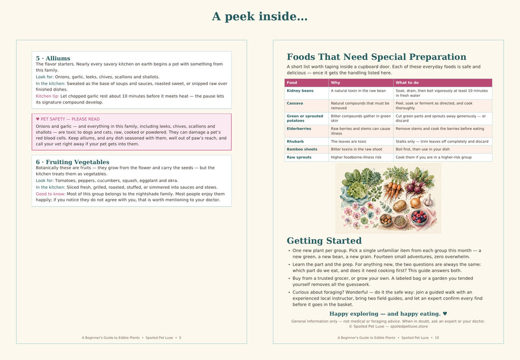 Peek inside — alliums page with pet safety box and the special-preparation table