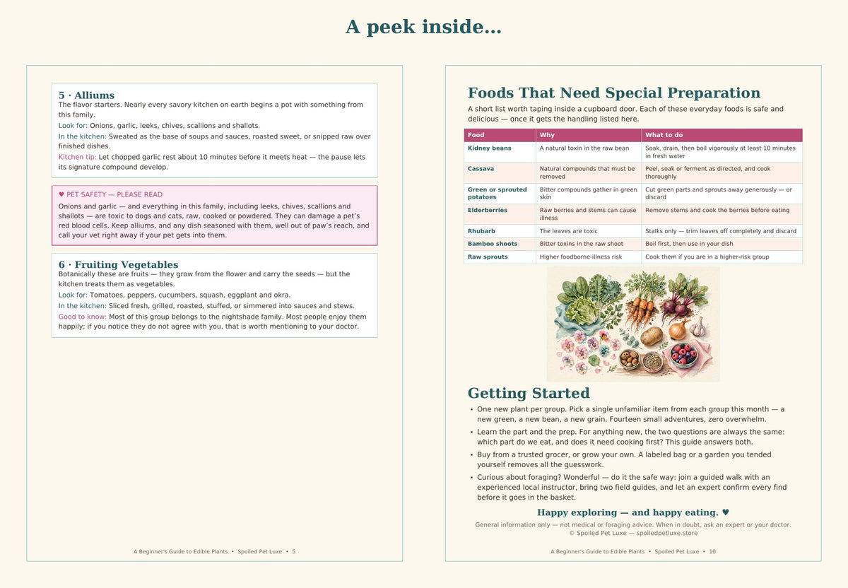 Peek inside — alliums page with pet safety box and the special-preparation table